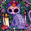 Gato