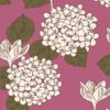 Hortensia